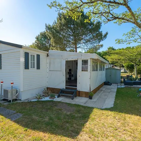 Mh 229 * لا ترمبلاد